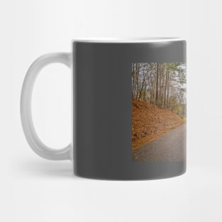 Stevens Creek Bridge Mug